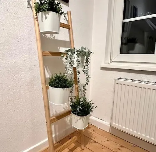 Stadtoase Design In Der Altstadt Von *